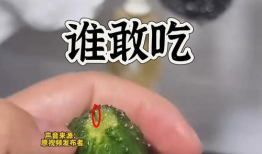 吃瓜爆料照片图片大全,图片大全揭秘娱乐圈幕后真相