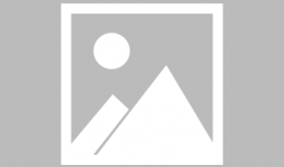 荒岛求生动漫,孤岛英雄的逆袭之旅