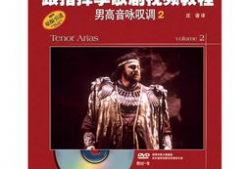 国歌指挥手势视频教程,标准动作解析与实操指南